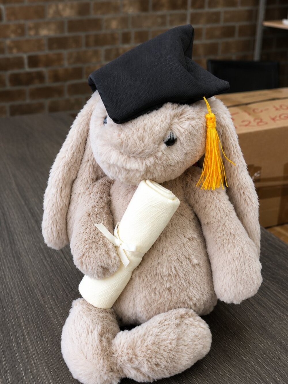 Jellycat Bashful bunny graduation outfit with tags